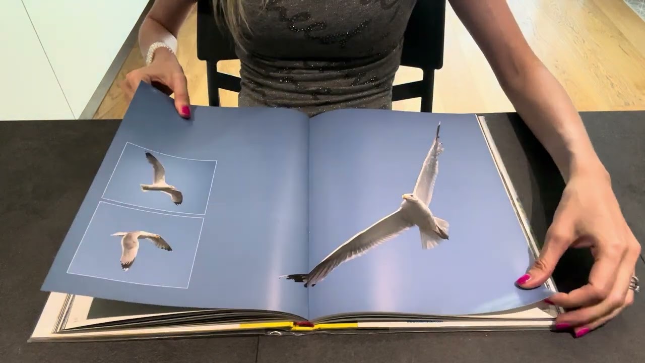 ASMR Bird book amazing images page turning with squeezing - no talking