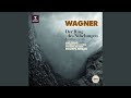 Miniature de la vidéo de la chanson Siegfried, Opera, Wwv 86C: Forest Murmurs