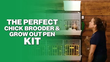 De perfecte broedmachine en kweekset voor kuikens