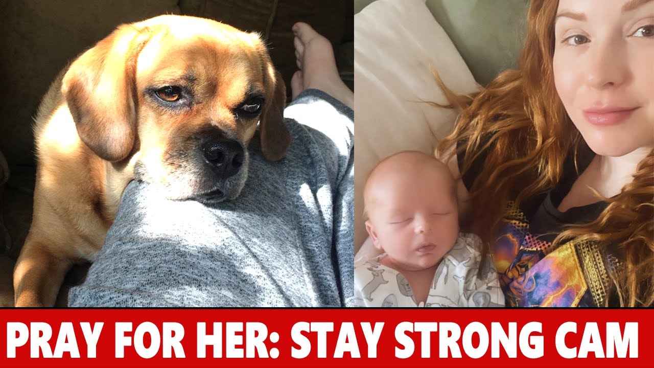 Shocking News Y&R star Camryn Grimes's Heartbreaking Loss YouTube