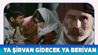 Sürü Türk Filmi Ya Şirvan Gidecek Ya Da Berivan