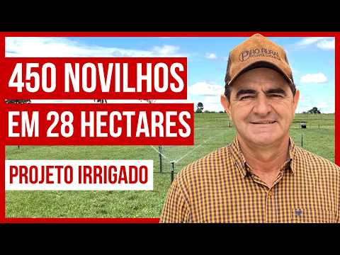 450 NOVILHOS EM 28 HECTARES - Projeto ROTACIONADO ADUBADO e IRRIGADO #parte9