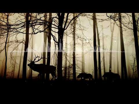 موسيقى التشويق والخطر والمجهول والخوف والإنترو والتأمل والمساج وغيرها خالية من حقوق الطبع والنشر