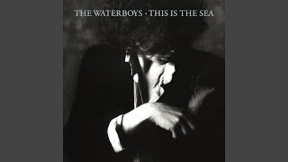 Video thumbnail of "The Waterboys - Don't Bang the Drum (2004 Remaster)"