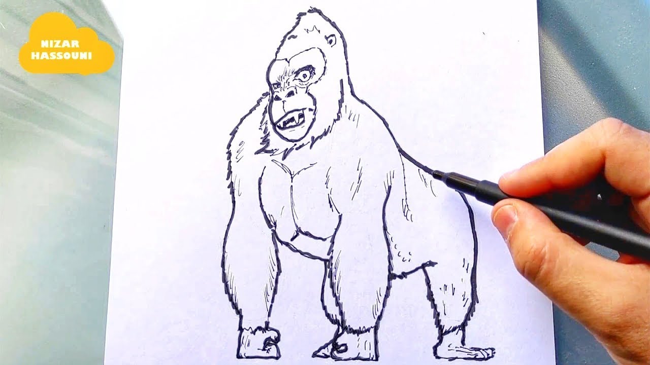 Gorille Dessin