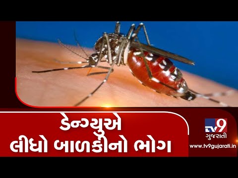Girl died of dengue in Palanpur, Banaskantha | Tv9GujaratiNews