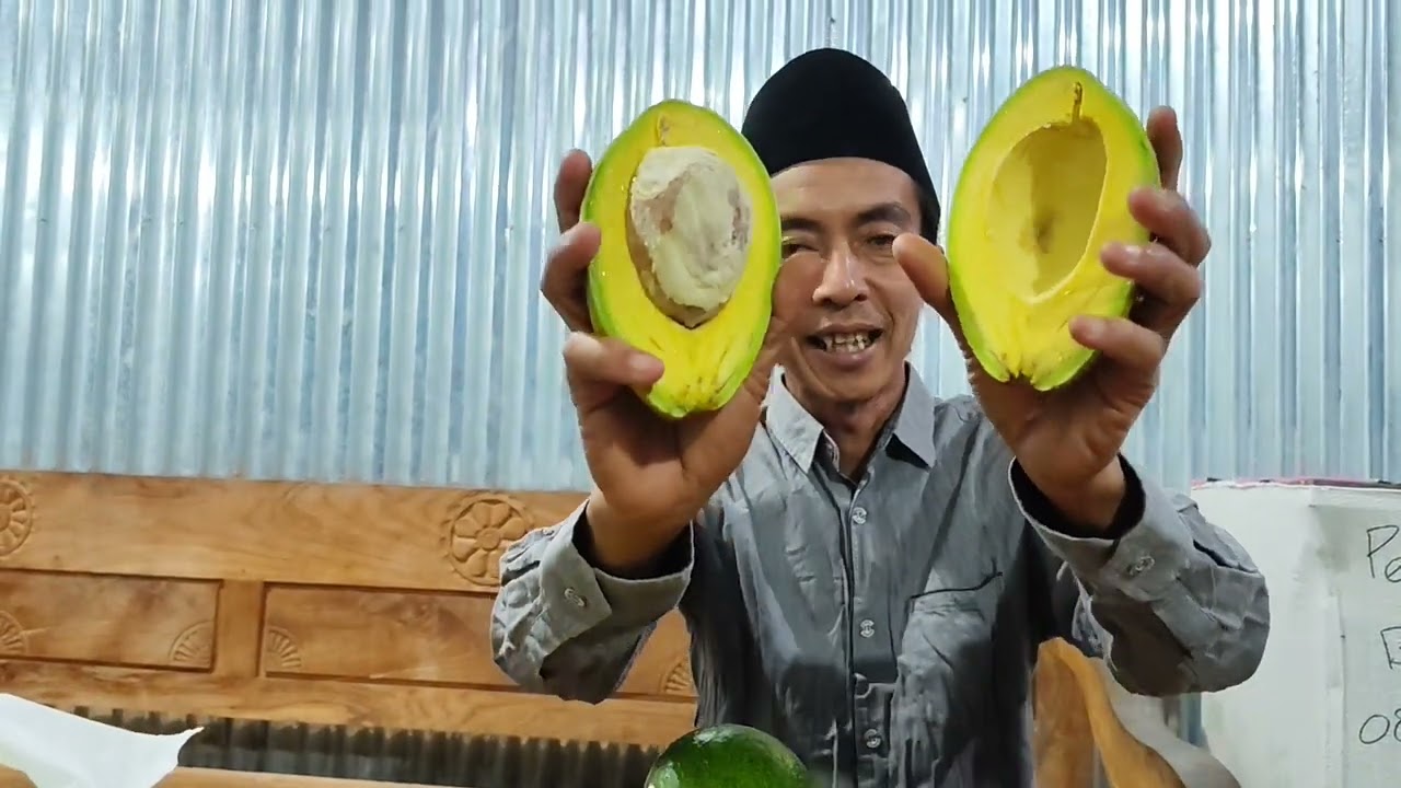 Review Alpukat Catalina, Booth7 dan Black Avocado👍