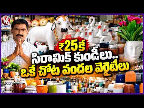 Wholesale Ceramic Pots Starting From ₹25 to ₹3,000 |Hundreds of Varieties | Suraram -Jeedimetla | V6 - V6NEWSTELUGU