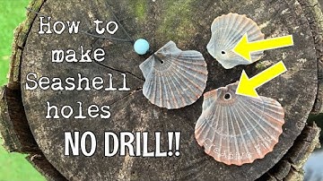 How to put a hole into a shell. NO drilling! Seashell holes made easy 🐚