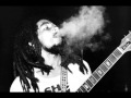 bob marley the wailers☆ No Woman No Cry☆ live at the roxy .HD