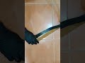 Asteroid Belt Whip Sound Effect Belt Whipping Slaps And Whips Belt Belt Popping Asteroid Belt Whip Sound Effect Belt Whipping Slaps And Whips Belt Belt Popping