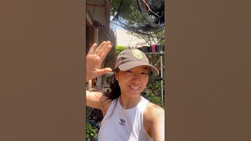 Setting up automated irrigation while I’m away. #dripirrigation #gardena #gardenirrigation