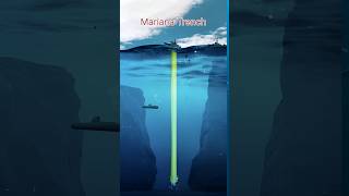 Deepest place in world| #shorts #viral #marina  #trending #sea #youtubeshorts #facts #hindi #urdu