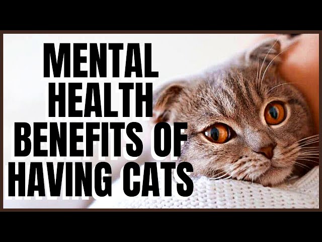 Benefits to Cats