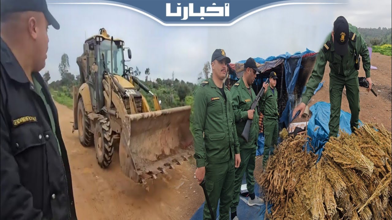  بالتراكس وسيارة تمويه.. كومندو الدرك ببوزنيقة يضـ.ـرب بقوة ويفكك 4 أوكـ.ـار مـ.ـخـ،ـدرات بواد نفيفخ