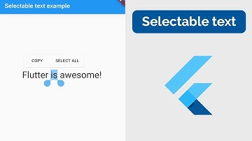 How to display Selectable Text in Flutter - Programming Addict