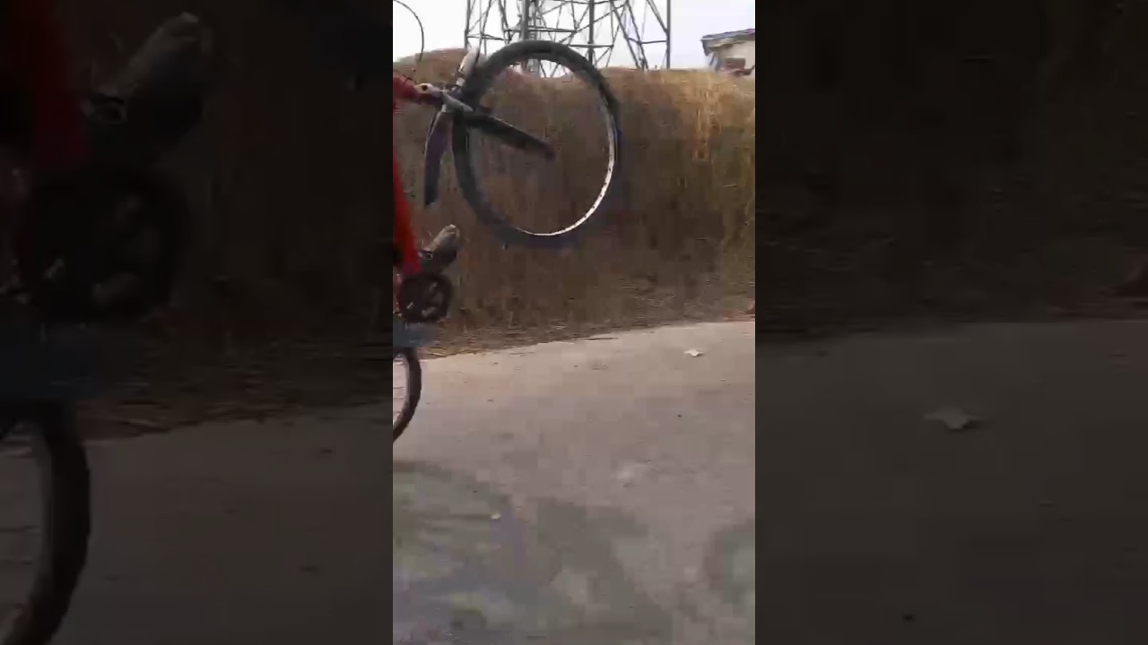 desi cycle stunt public reaction video