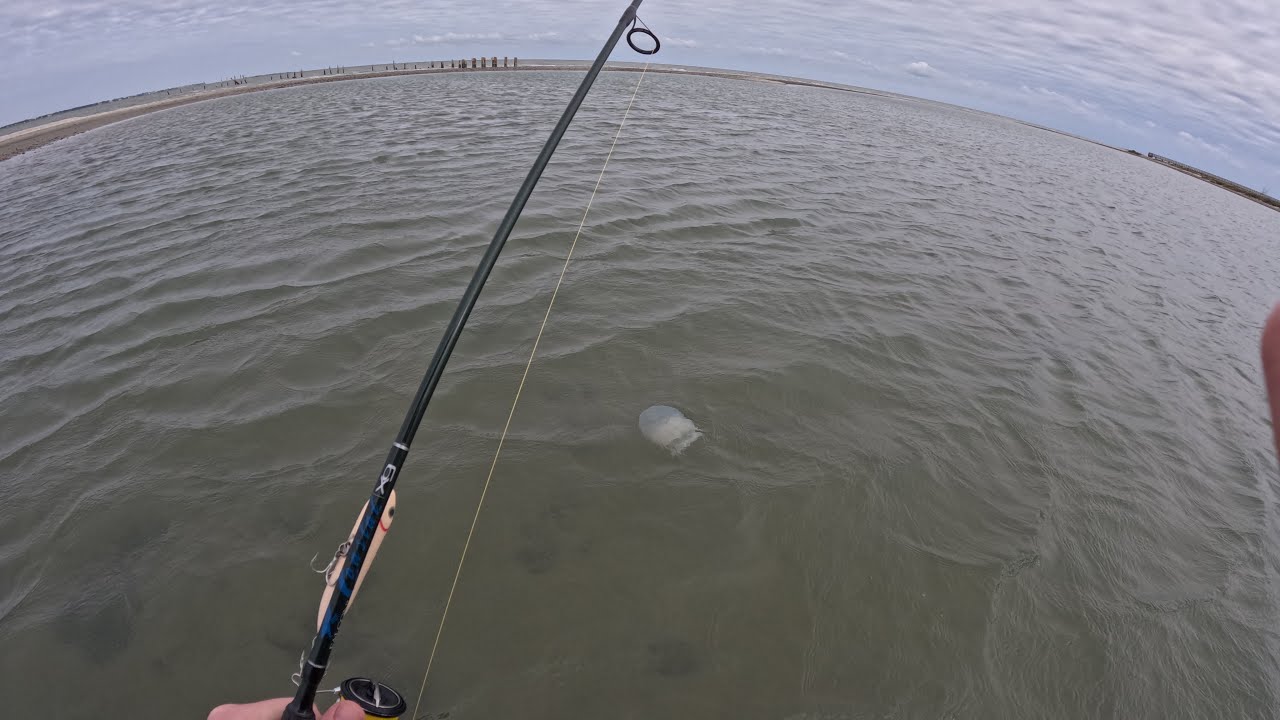 Wade Fishing In Rockport, Texas with Artificial Only! YouTube