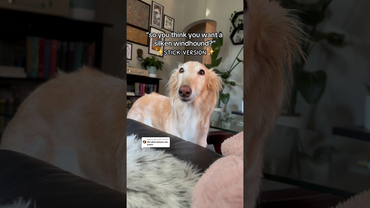 “I searched for my STICK and I found it” -cleo, probably 