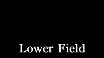 What happend on your display with interlaced material? 1