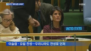 유엔 '예루살렘 결의안' 압도적 채택…헤일리 "기억할 것"