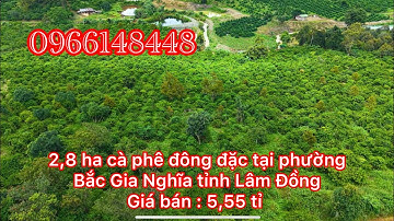 BÁN LÔ ĐẤT NÔNG NGHIỆP 2,8HA CÀ PHÊ ĐÔNG ĐẶC PHƯỜNG BẮC GIA NGHĨA, LÂM ĐỒNG GIÁ CHỈ 5,55 TỶ TOÀN BỘ