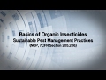 Basics of Organic Insecticides