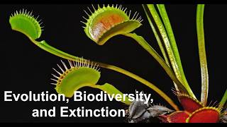 Environmental Science 4 (Evolution, Biodiversity, and Extinction) screenshot 1