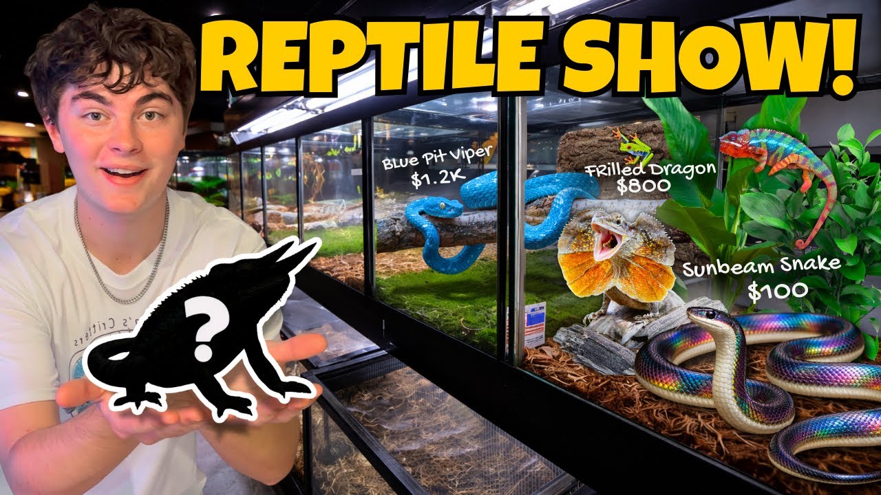 BUYING Reptiles At This INSANE REPTILE SHOW!! 
