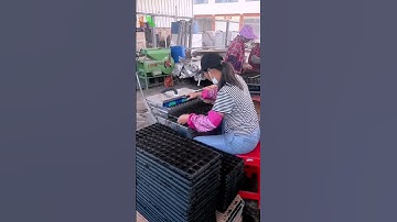 Nông nghiệp công nghệ cao, Tưới tự động Tháp Xanh