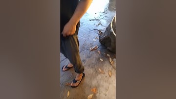 TRIỀU CƯỜNG LÚC 5h22 CHIỀU 17/11/2020( Đường Phạm Hữu Lầu .Quận 7 . Sài Gòn