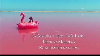 Pink Lake of Las Coloradas Mexico - Rancho Chilaxo