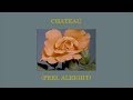 Chateau Feel Alright Djo Lyrics mp3