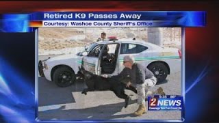 5/29 5:30pm Retired K9 Dies