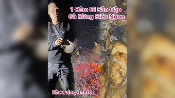 Săn Đêm Bằng ná Cao Su gặp Ngay Gà Rừng và Mukbang tại rừng || night hunting and cooking #vlog