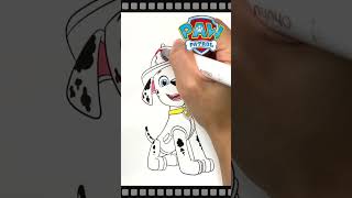 Coloring MARSHALL "PAW Patrol" [Coloring book] #drawing #ぬりえ