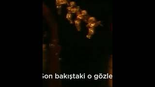 Sezen Aksu Yandım Aman