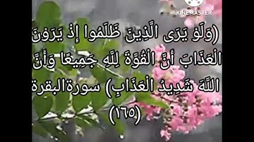 (كذلك يريهم الله اعمالهم حسرات عليهم وما هم بخارجين من النار)🌹قرآن كريم راحة نفسية 💖💕