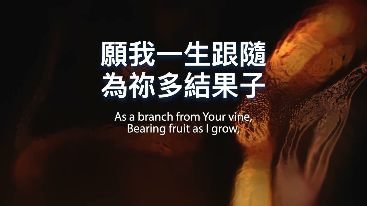 【原版伴奏】在基督裡 | 小羊詩歌 (Instrumental Backing Track)