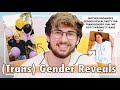 (Trans) Gender Reveals