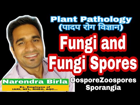 Fungi में Spores कितने प्रकार के होतें हैं|Fungi Definition and Various Spores| Spores of Pathology