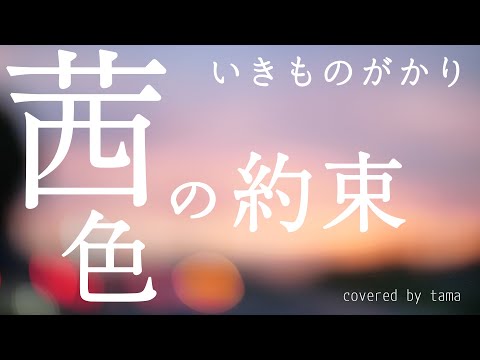 【アカペラで歌ってみた】茜色の約束 / いきものがかり (Cover tama 喋る天然水)