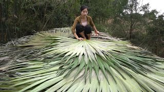 How to make a bamboo roof with palm leaves by a single girl | Ly Mai Mai