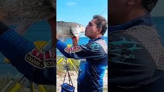 4.5 Kilo Dev Minekop Türkiye’de Ender Görülen Av 🐟🔥