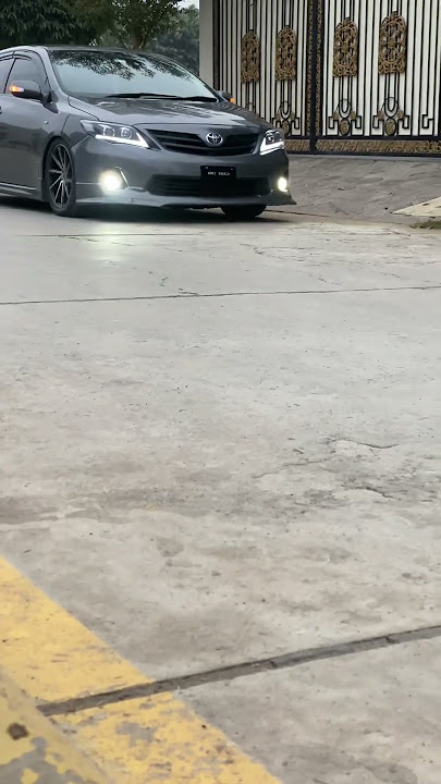 Rolla 🔥
