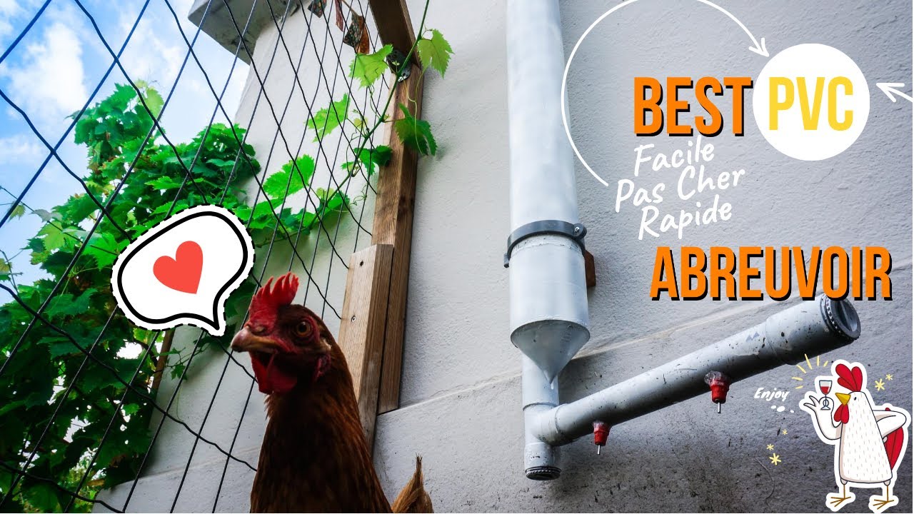 Abreuvoir Poule Automatique Fait Maison | Ventana Blog