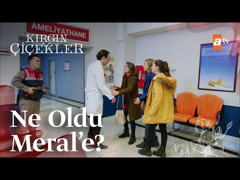 Meral Hayata Tutunabilecek Mi Kırgın Çiçekler 101 Bölüm