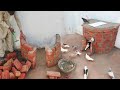 How to make Build New Pigeon House