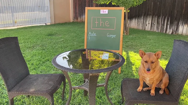 Professor Ginger and Axle and the Word The