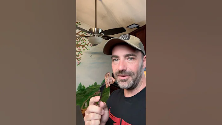 I Eat THIS Every 3 Days on Carnivore Diet thumbnail